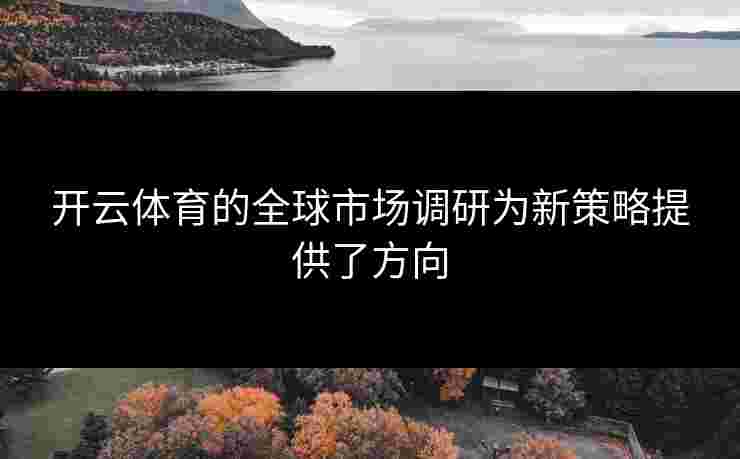 开云体育的全球市场调研为新策略提供了方向