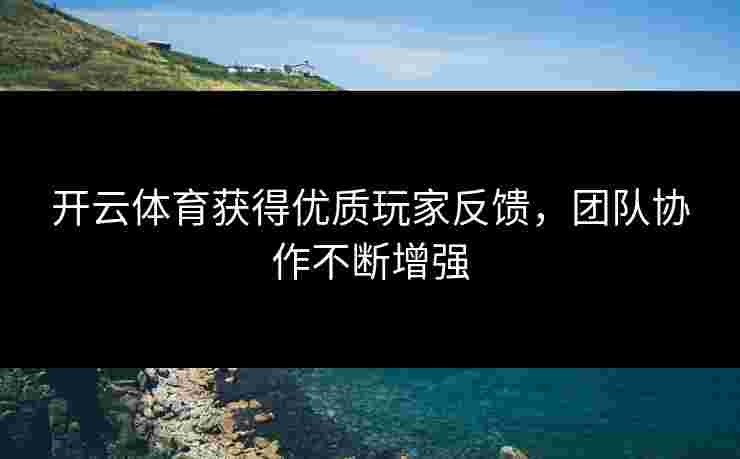 开云体育获得优质玩家反馈，团队协作不断增强