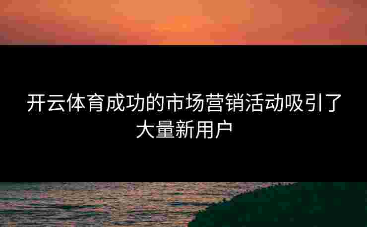 开云体育成功的市场营销活动吸引了大量新用户
